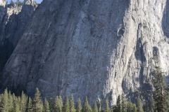 Spring landscape of Yosemite Valley with waterfalls, trees, and granite cliffs in California.